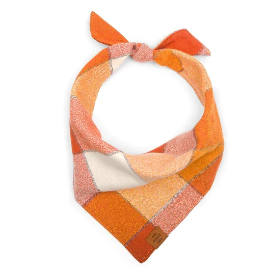 The Foggy Dog Pumpkin Spice Flannel bandana