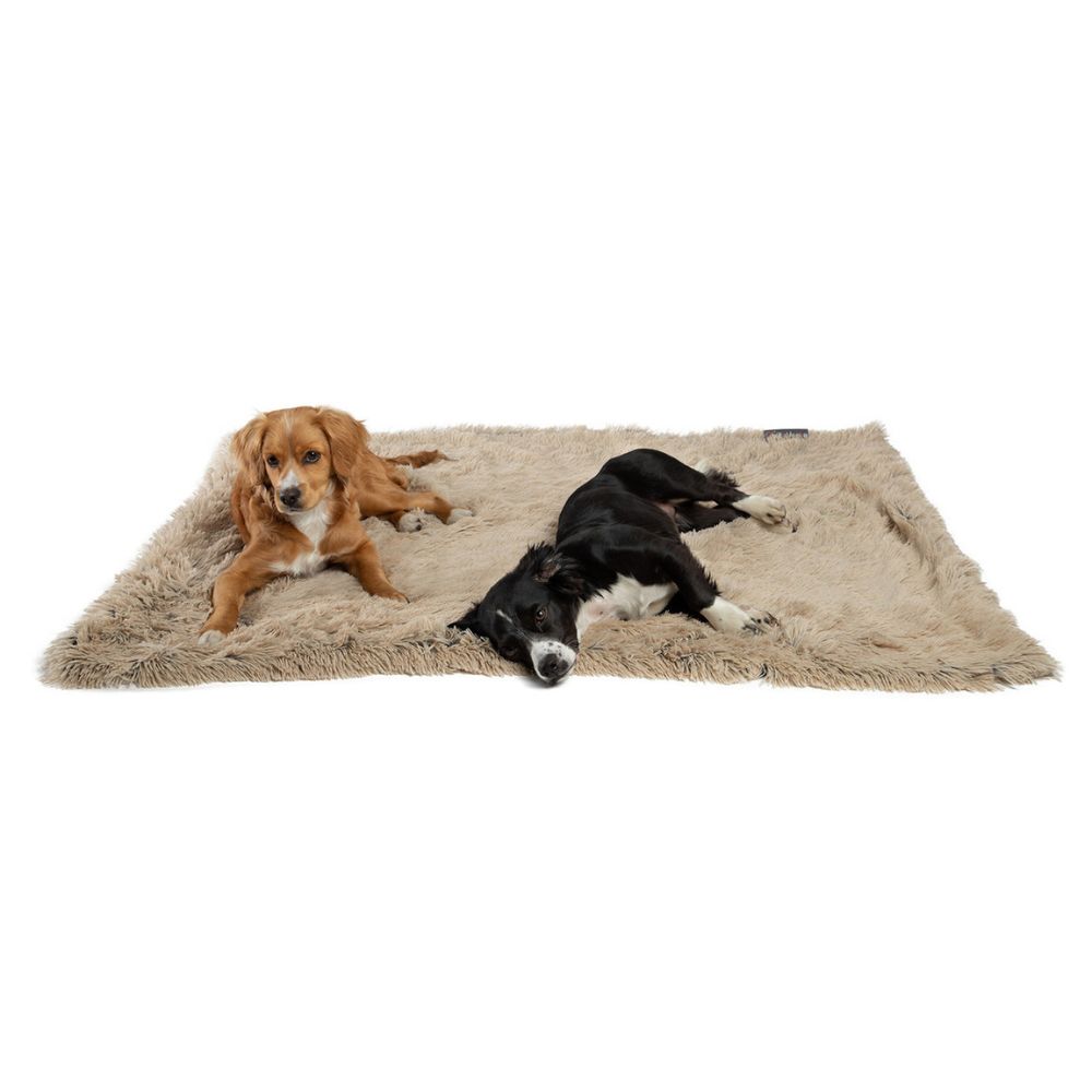 Outward Hound Luxury Shag Calming Pet Throw Blanket with two dogs resting on it